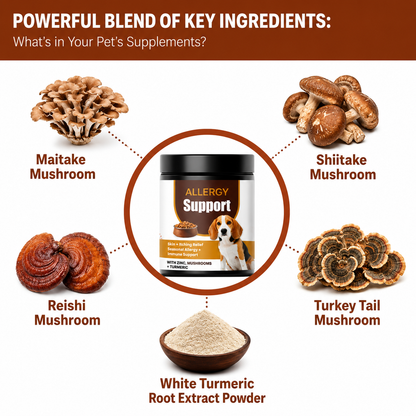 Allergy & Immune Support Formula